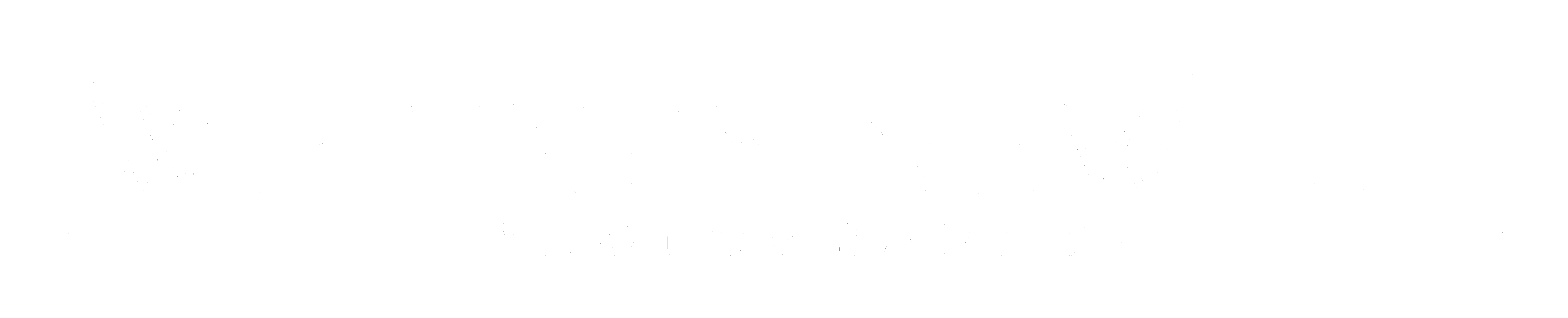 Whitney Newell//Music Photographer